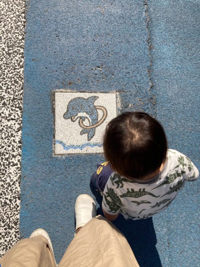 須磨水族館イルカ