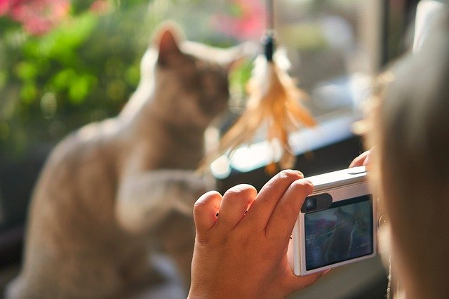 ピントバッチリ写真を撮るには